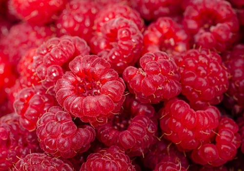 fruit-2