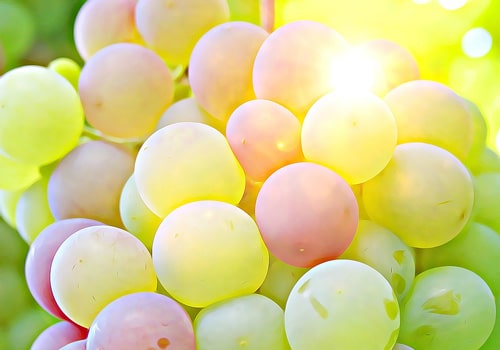 fruit-5