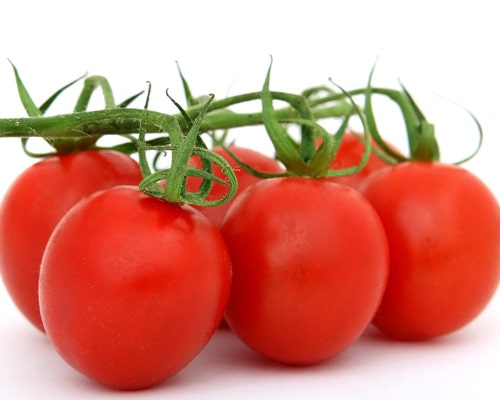 vegetable-2