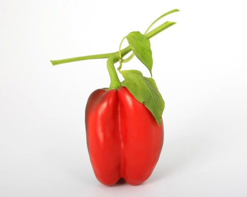 vegetable-4