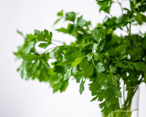 vegetable-1